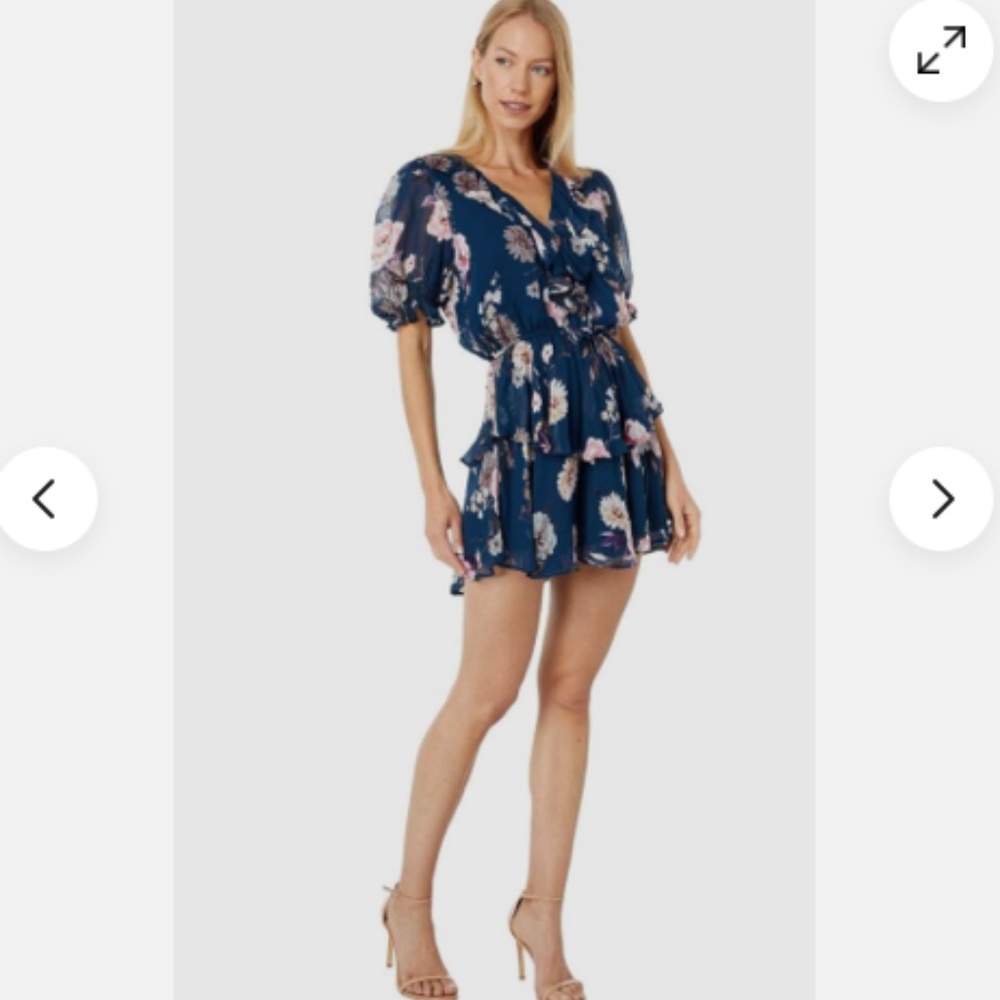 NWT Yumi Kim XS Reese Blue Floral Ruffle Mini Dress